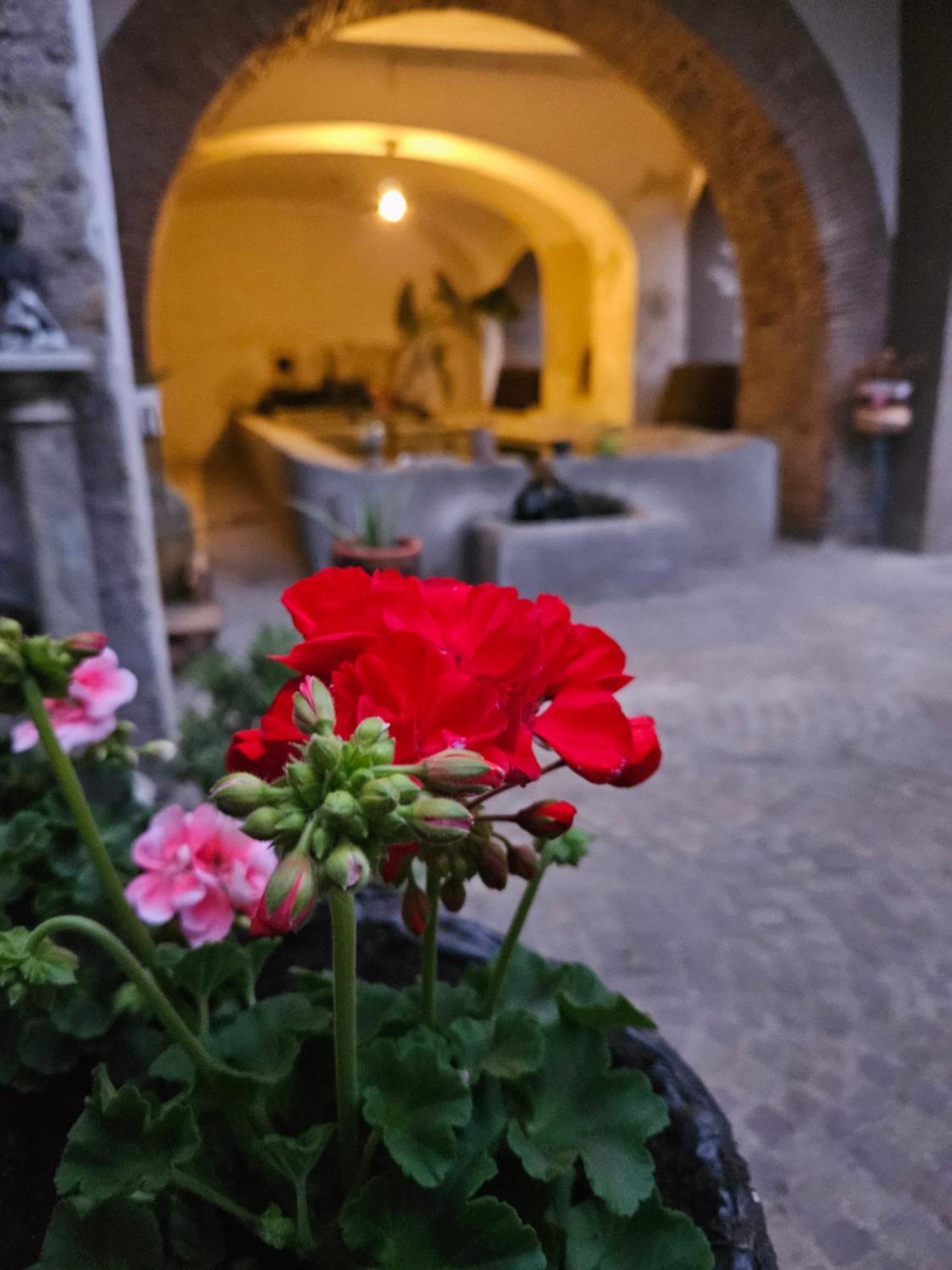 L' Antico Lavatoio Bed & Breakfast Rignano Flaminio Екстериор снимка