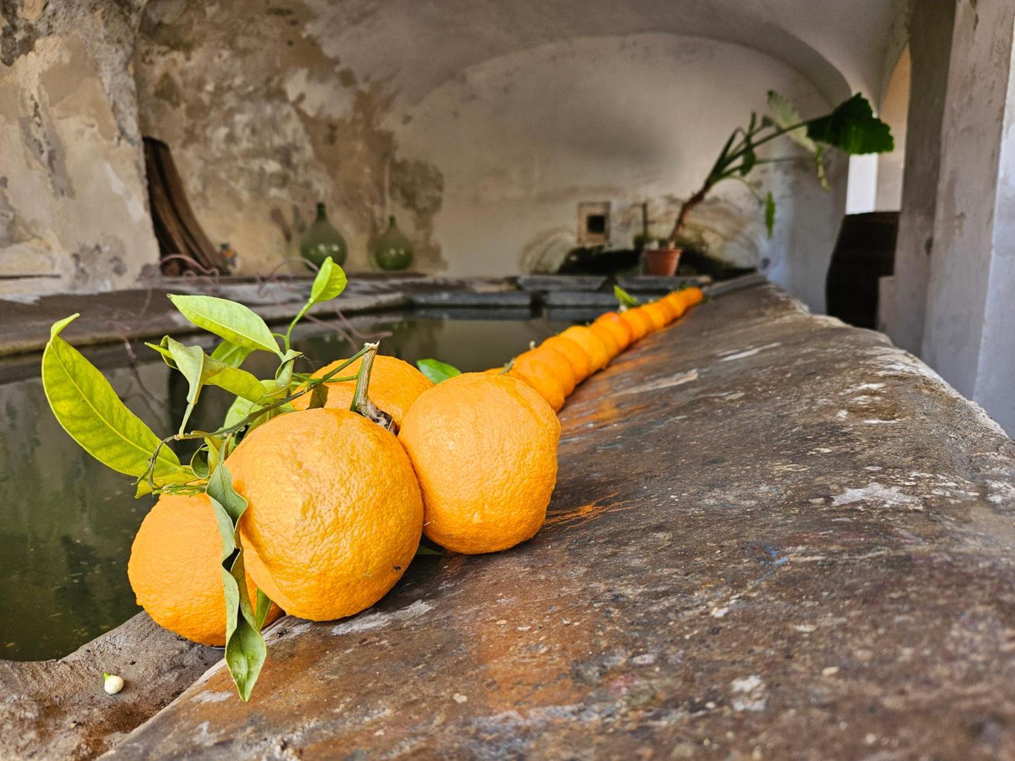 L' Antico Lavatoio Bed & Breakfast Rignano Flaminio Екстериор снимка