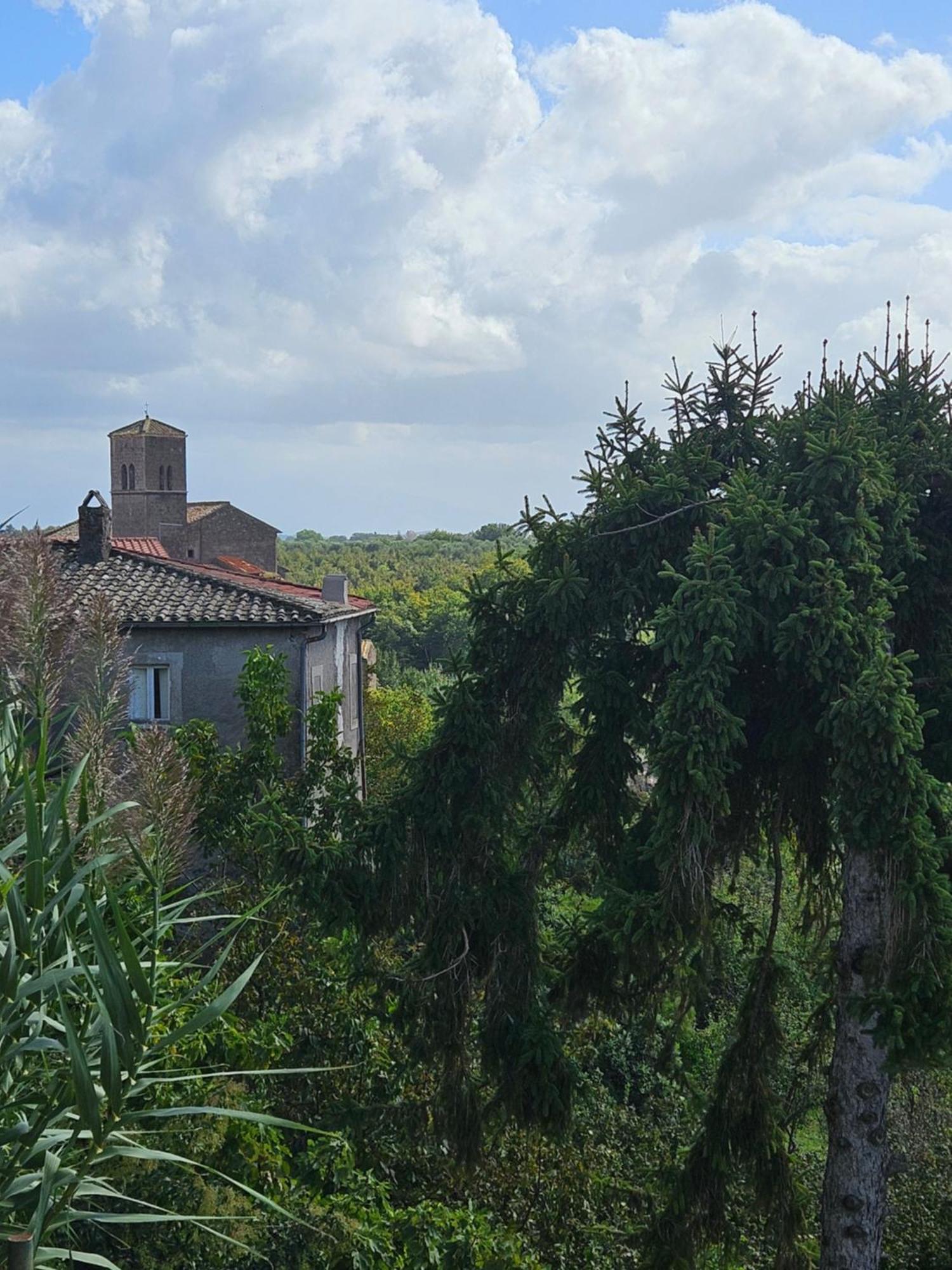 L' Antico Lavatoio Bed & Breakfast Rignano Flaminio Екстериор снимка
